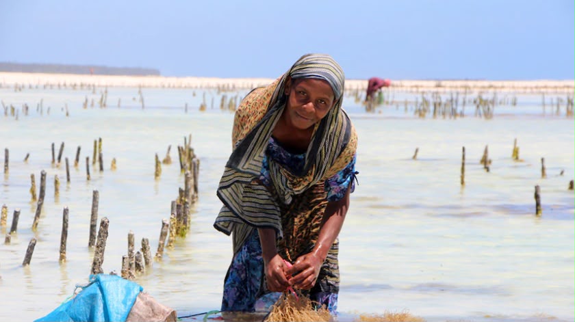 How Zanzibar is sustaining its Blue Economy for generations to protect the ocean.